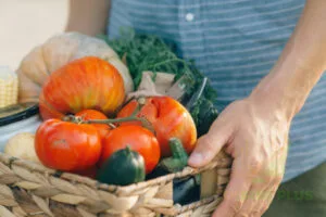 Eating Healthy – Explode Your Physical & Mental Health