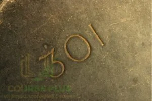 CCNA 200-301 Volume 1 (GlobED)