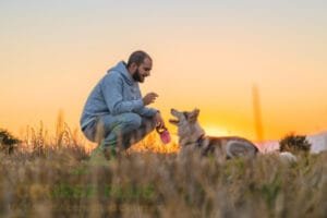 Become A Dog Trainer - Dog Training Career