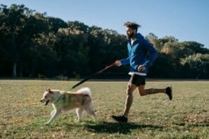 Leash Training - Simple Dog Training Methods