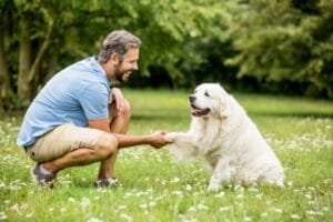 Natural Remedies for Health & Dog Training