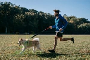 Stop Dog Barking - Easy Dog Training Methods