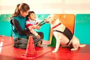 Stop Dog Attacks - Easy Dog Training Methods