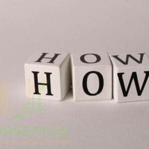 Learn how to create a WordPress membership site using MemberPress.