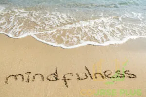 Mindfulness Meditation