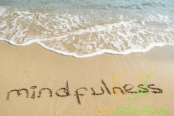 Mindfulness Meditation course for beginners to reduce stress and improve focus with guided practices.