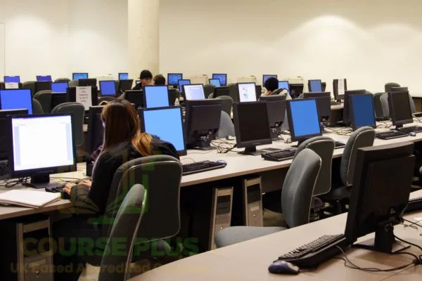 Gain hands-on experience with networking labs and simulations.