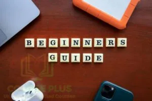 WordPress for Beginners