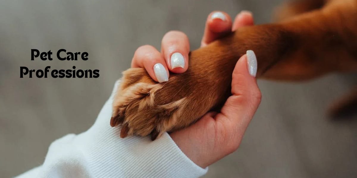 Pet Care Professions: Accredited Courses for Aspiring Animal Care Specialists