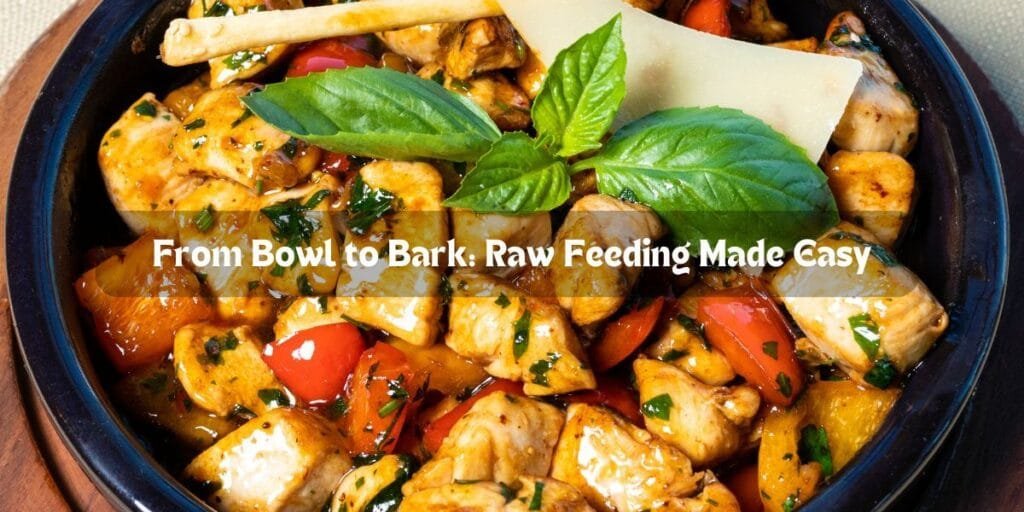 From Bowl to Bark: Raw Feeding Made Easy