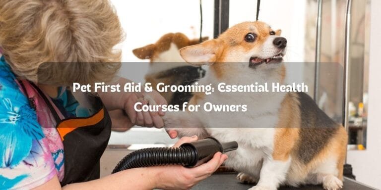 Pet First Aid & Grooming: Essential Health Courses for Owners