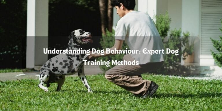 Understanding Dog Behaviour: Expert Dog Training Methods