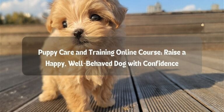 Puppy Care and Training Online Course: Raise a Happy, Well-Behaved Dog with Confidence”