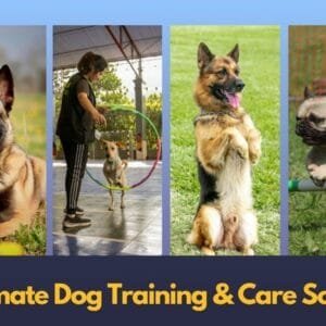 Ultimate Dog Training & Care School