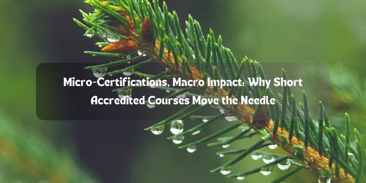 Micro-Certifications, Macro Impact: Why Short Accredited Courses Move the Needle