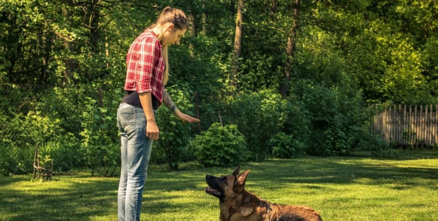 Become A Dog Trainer - Dog Training Career