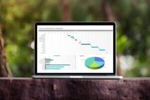 Excel Pivot Tables, Pivot Charts, Slicers, and Timelines