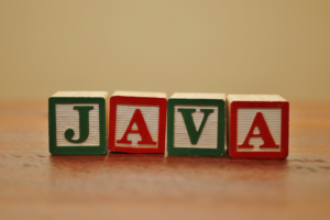 Java Programming Language