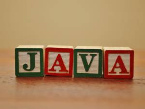 Java Programming Language