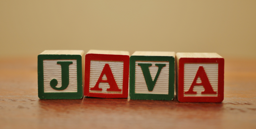 Java Programming Language