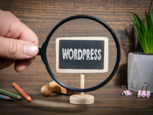 Wordpress Beginner Tutorial_ Build Your First Website