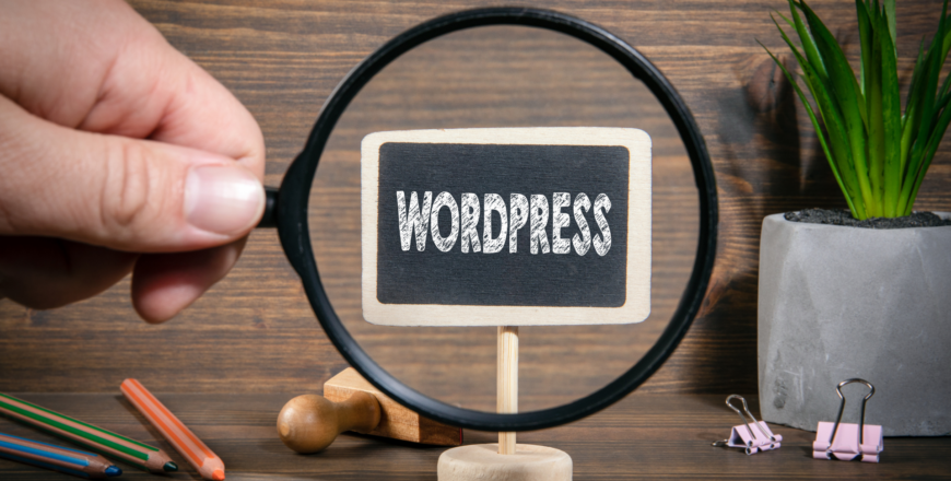 Wordpress Beginner Tutorial_ Build Your First Website